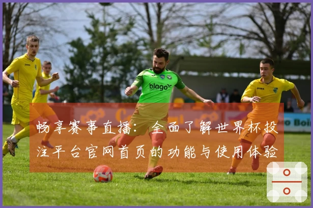 畅享赛事直播：全面了解世界杯投注平台官网首页的功能与使用体验
