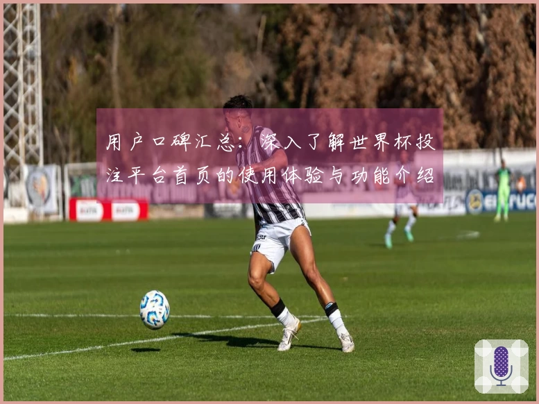 用户口碑汇总：深入了解世界杯投注平台首页的使用体验与功能介绍